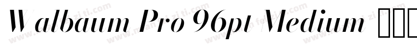 Walbaum Pro 96pt Medium字体转换